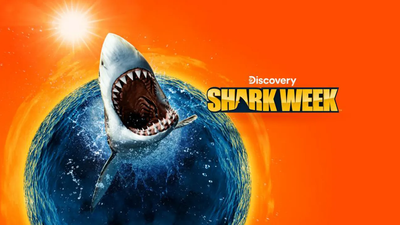 Dive In or Miss Out: Shark Week 2025 Has Arrived — Here’s How to Watch It All Without Cable