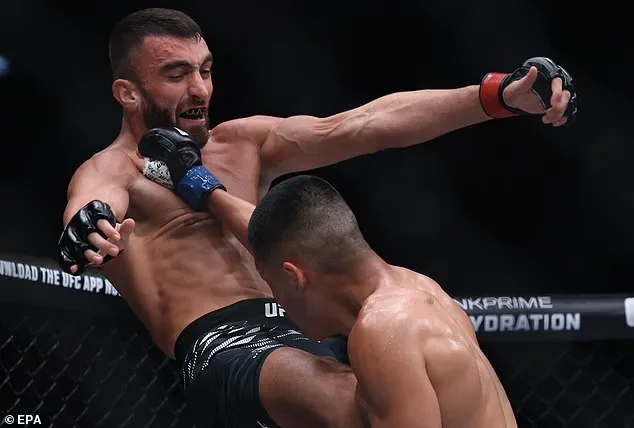 6 Knockdowns and No Mercy: UFC Ref Under Fire After Brutal Beatdown in Abu Dhabi